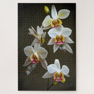 Puzzle Orchidées Dendroium
