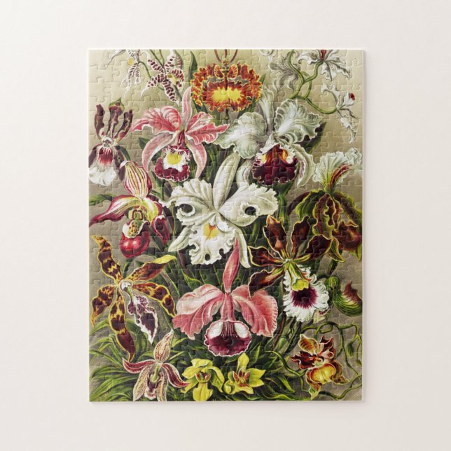 Puzzle Orchidées, Orchidée Denusblumen Ernst Haeckel (Vertical)