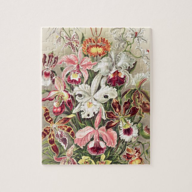 Puzzle Orchidées, Orchidées Denusblumen par Ernst Haeckel (Vertical)