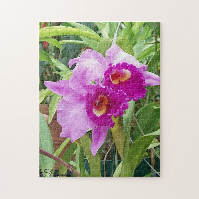 Puzzle Orchidées pourpres de Cattleya (Vertical)