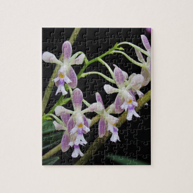 Puzzle Orchidées violettes et blanches (Vertical)