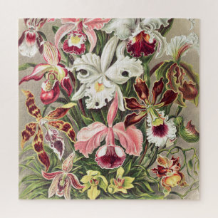 Puzzle Orchids, Orchideae Denusblumen by Ernst Haeckel