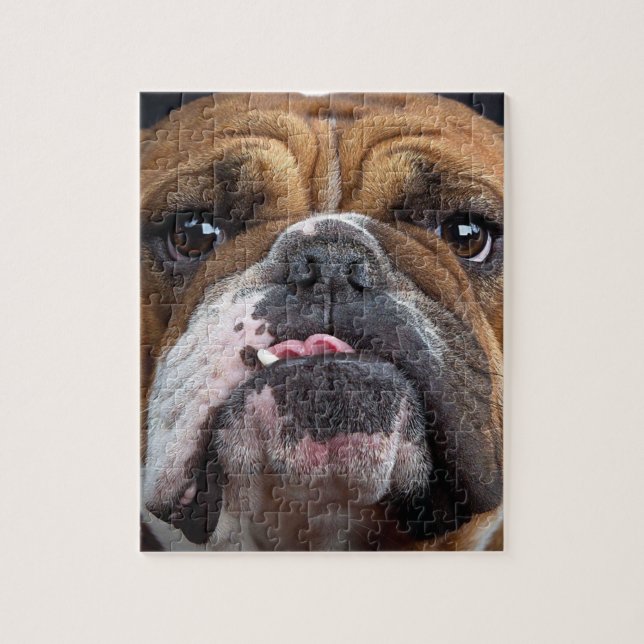 Puzzle Oreillers à lancer de Bulldog anglais (Vertical)
