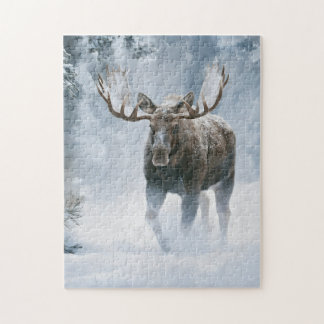 Puzzle Orignal mâle marchant à travers la neige boréale