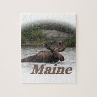 Orignaux du Maine Taureau