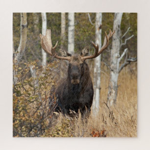 Puzzle Orignaux impressionnants de Taureau