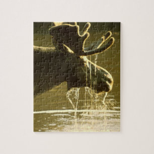 Puzzle Orignaux plongeant sa tête dans l'eau