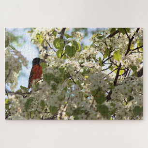 Puzzle Oriole de Boston
