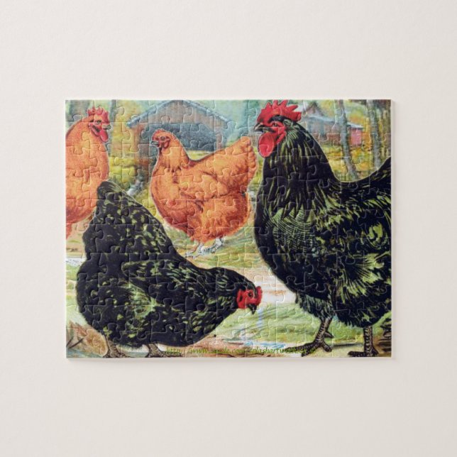 Puzzle "Orpingtons~Chicken " (Horizontal)