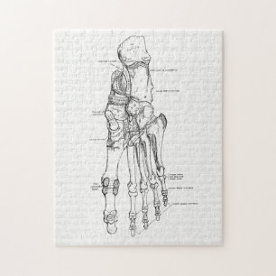 Puzzle Os vintages d'art d'anatomie du pied