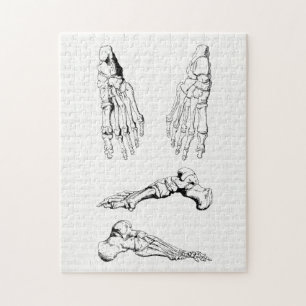 Puzzle Os vintages d'art d'anatomie du pied