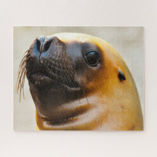 Puzzle Otaries