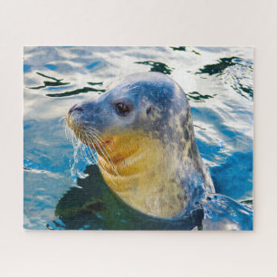 Puzzle Otaries