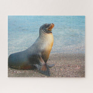 Puzzle Otaries