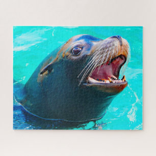 Puzzle Otaries