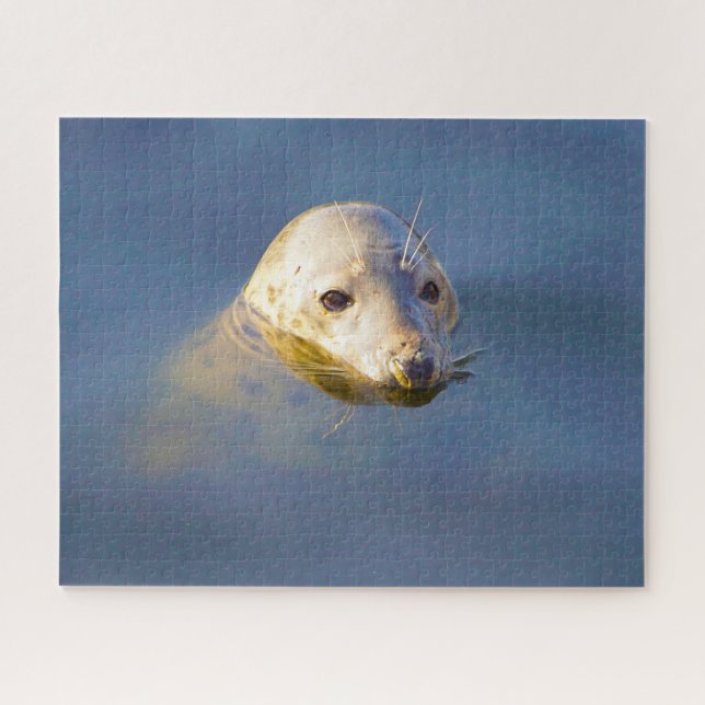Puzzle Otaries (Horizontal)