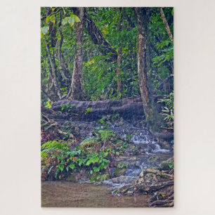 Puzzle Où les arbres rencontrent l'eau