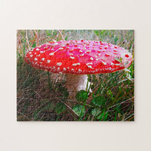 Puzzle Où les Leprechauns ou les petites gens vivent.