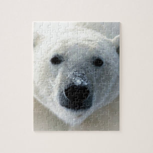 Puzzle Ours blanc