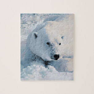 Puzzle Ours blanc et neige