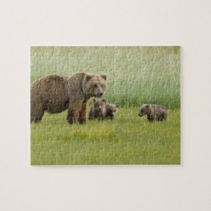 Puzzle Ours Brown de l'Alaska et trois Cubs, Ursus