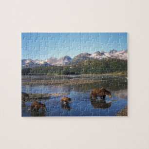 Puzzle ours Brown, grizzli, truie et oursons