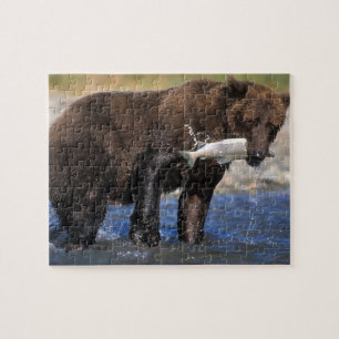 Puzzle Ours brun, grizzly, avec prise de saumon,