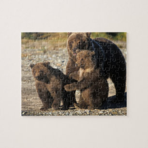 Puzzle Ours brun, grizzly, truie avec ses oursons sur la 