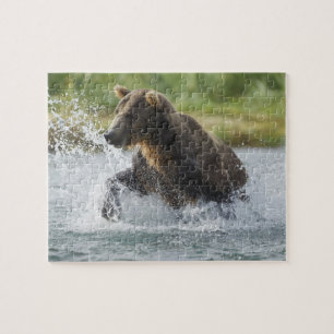 Puzzle Ours brun poursuivant le saumon dans la rivière