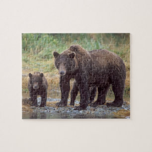Puzzle ours brun, Ursus arctos, grizzli, Ursus 3