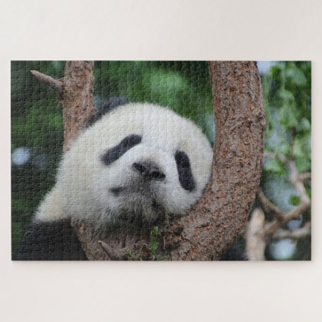 Puzzle Ours de panda couché sur un arbre (Horizontal)