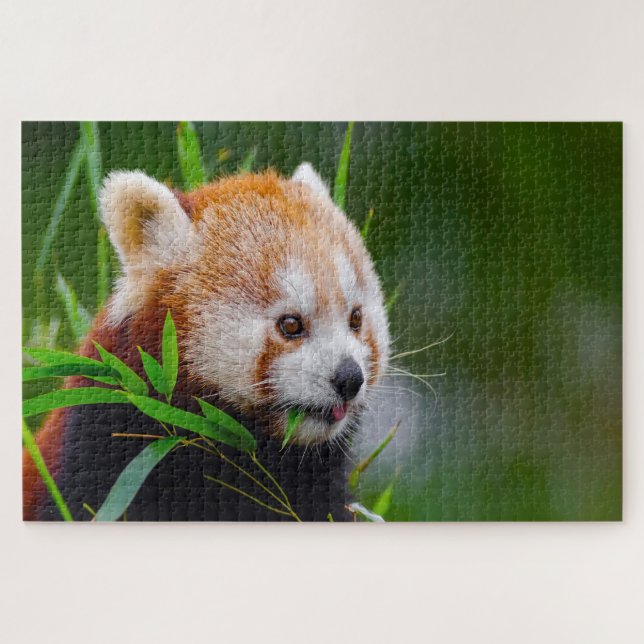 Puzzle Ours De Panda Rouge. (Horizontal)