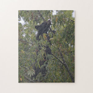 Puzzle Ours des montagnes fumées