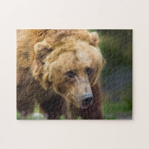 Puzzle Ours gris