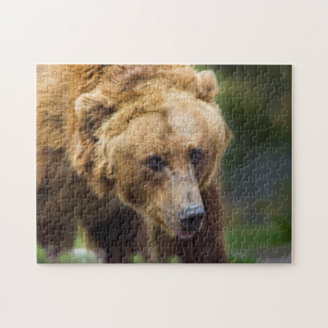 Puzzle Ours gris (Horizontal)