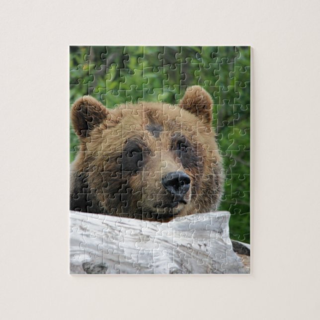 Puzzle Ours gris d'Alaska, le Kodiak (Vertical)