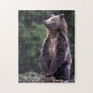 Puzzle Ours gris debout