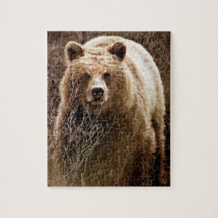 Puzzle Ours grizzli Brown sauvage - Wilderness