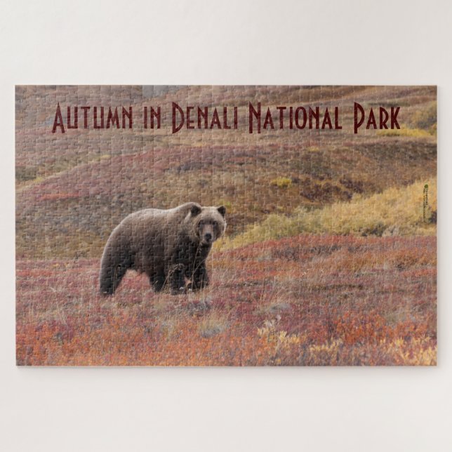 Puzzle Ours grizzli Couleurs d'automne Denali Alaska (Horizontal)