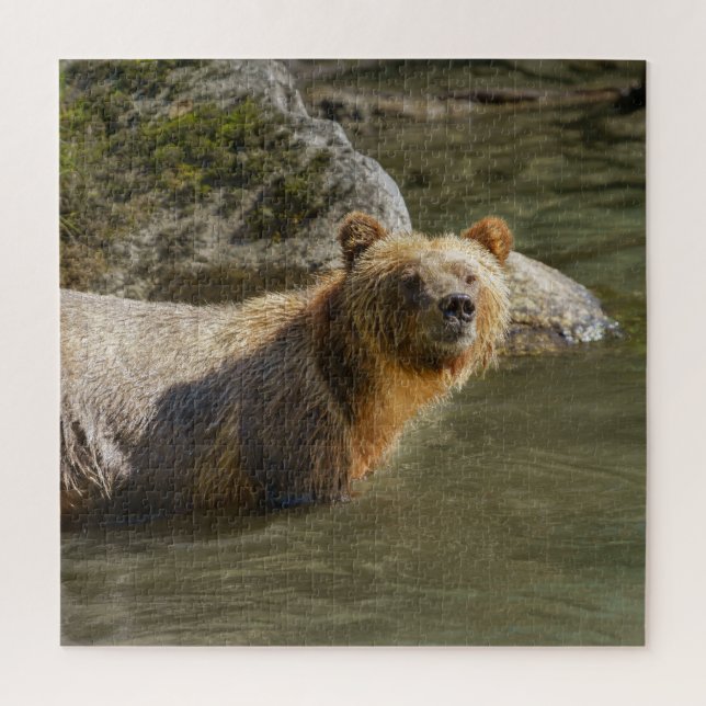 Puzzle Ours Grizzli Sauvage À La Rivière Orford (Vertical)