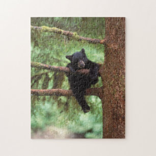 Puzzle ours noir, Ursus americanus, petit dans un arbre