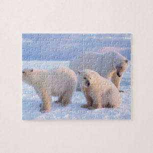 Puzzle Ours polaire femelle avec des oursons sur la banqu