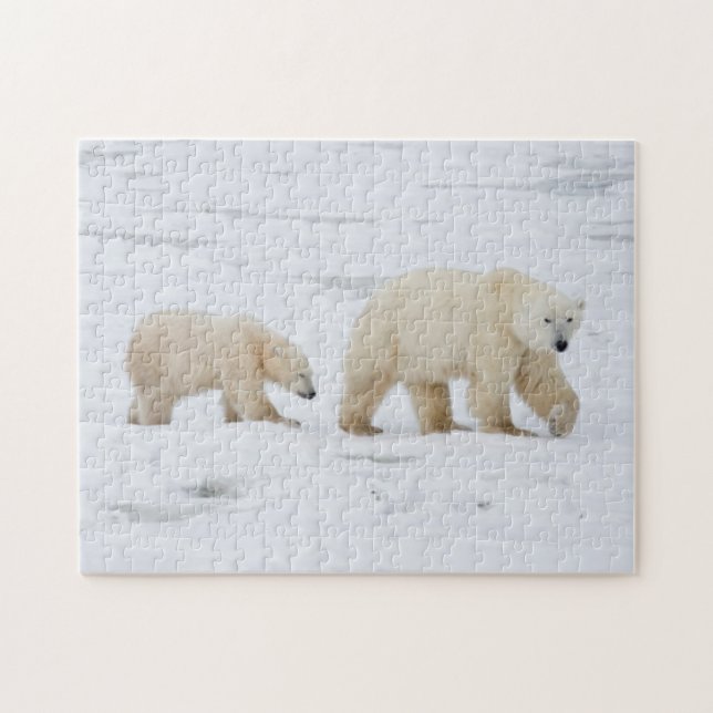Puzzle Ours polaire femelle et deux petits (Horizontal)