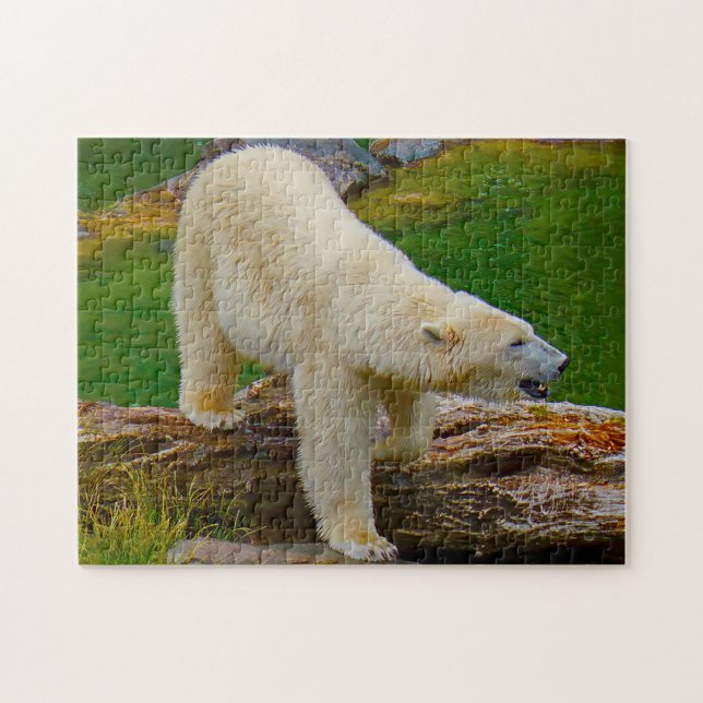 Puzzle Ours Polaires. (Horizontal)