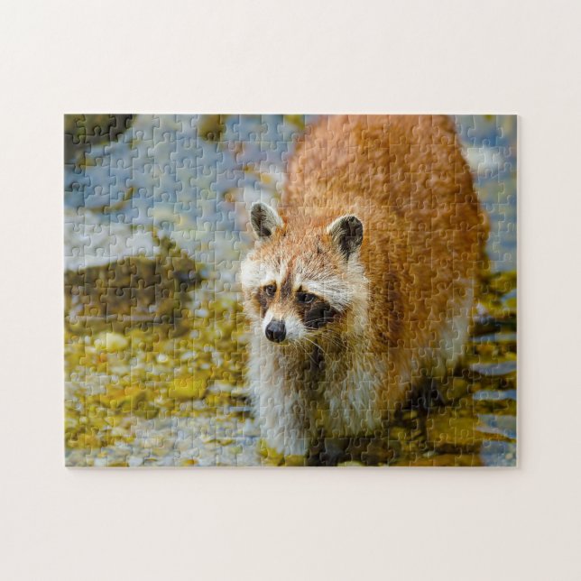 Puzzle Ours Raccoon. (Horizontal)