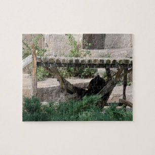 Puzzle Ours relaxant à Hammock