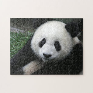 Puzzle Ours souriant Panda