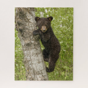 Puzzle Ourson noir dans un arbre