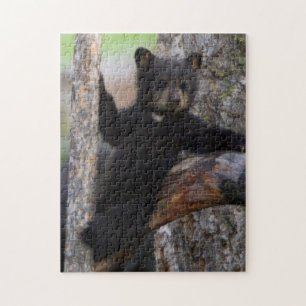 Puzzle Oursons de l'ours noir se reposant