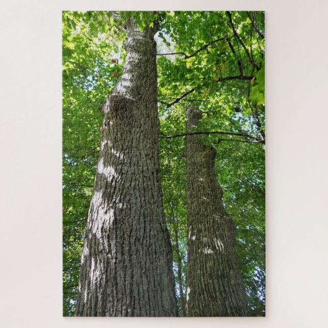 Puzzle over 1,000 pieces, Towering Trees (Vertical)